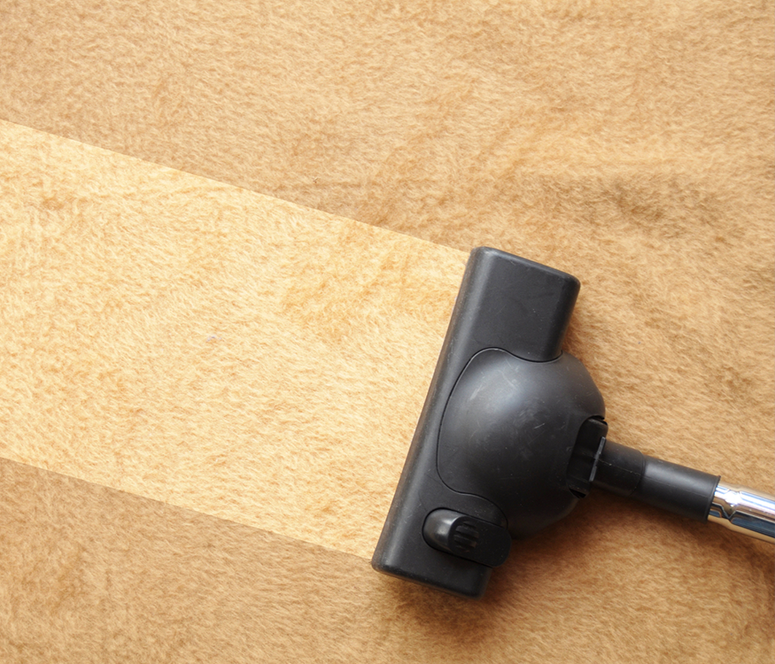 Sharon Carpets Cleaner